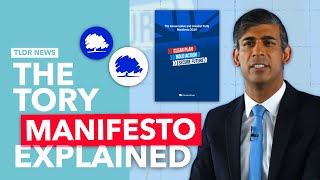 The Conservative Manifesto Explained [upl. by Inga]