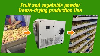 Fruit and vegetable powder freeze drying production line shorts [upl. by Suinotna]