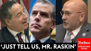 Clay Higgins And Jamie Raskin Outright Debate Hunter Bidens Demand For Public Hearing [upl. by Yllen530]