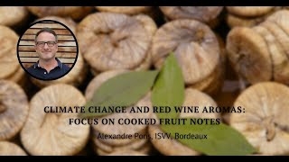 Climate change and red wine aromas focus on cooked fruit notes by Alexandre PONS ISVV Bordeaux [upl. by Hnilym]