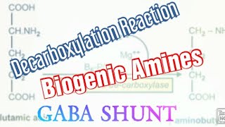 Decarboxylation Reaction Biochemistry Biogenic AminesGABA SHUNT HistaminePolyamines [upl. by Gwenny757]