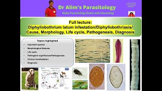 Diphyllobothrium latum or Diphyllobothriasis Causal agent Morphology Pathogenesis amp Diagnosis [upl. by Nage]