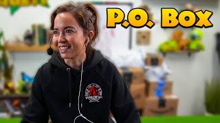 📦PO Box Opening with Maya📦 [upl. by Livia]