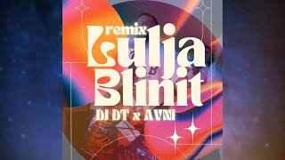 DJ DT x AVNI  Lulja Blinit Remix [upl. by Nylloh]