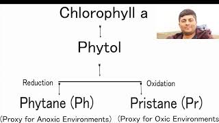 What is Biomarker or Geochemical Fossil an Use [upl. by Metzgar604]