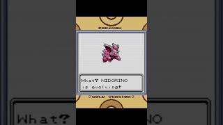 Evolution of Nidoran ♂ in Pokémon Gold [upl. by Resiak]