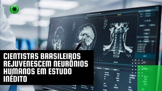 Cientistas brasileiros rejuvenescem neurônios humanos em estudo inédito [upl. by Buderus]