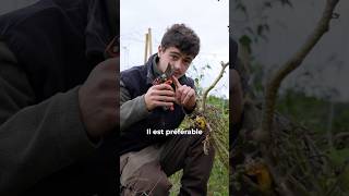 Arracher ou couper les pieds de légumes  🌱 jardin potager potagerpermaculture [upl. by Anelrahc]