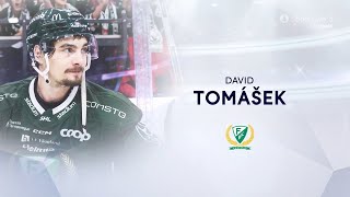 David Tomášek inför HV71  Intervju  studiosnack  HV71  Färjestad BK  20241005 [upl. by Tresa]