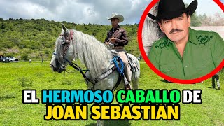 El caballo que Joan Sebastián le regalo a Manuel Juárez [upl. by Nrojb]