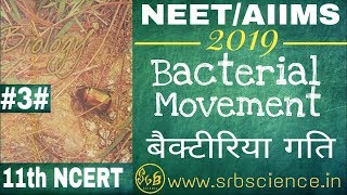 NEETAIIMS BIOLOGYHINDI 3 NCERT 11th Biological Classification Bacterial Movement [upl. by Brittni]