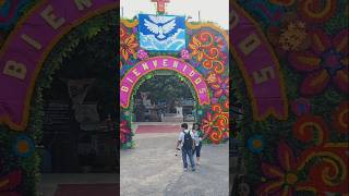 Entrada al Panteón Lomas de Barrillas coatzacoalcos diademuertos halloween2024 culturamexicana [upl. by Teiluj746]