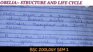 STRUCTURE AND LIFE CYCLE OF OBELIA [upl. by Clorinde]