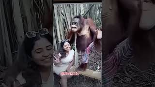 When animals act like humans EP9 comedy shorts funny fyp zoo monkey animals reels aps [upl. by Melville]