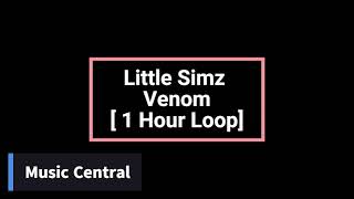 Little Simz  Venom  1 Hour Loop [upl. by Leahcar]