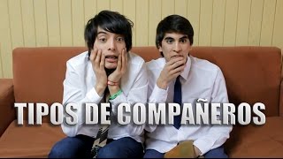 Tipos de Compañeros [upl. by Telford40]