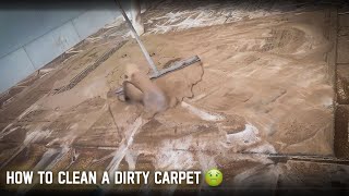 how to clean a dirty carpet   satisfying deep cleaning videos  deep cleaning carpet asmr [upl. by Aire820]