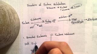 Disorders of Fructose Metabolism [upl. by Dayle]