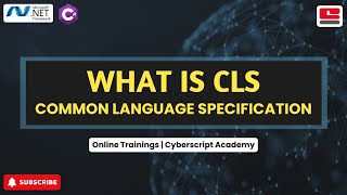 Understanding the Common Language Specification CLS in C  NET Interoperability [upl. by Anibla529]