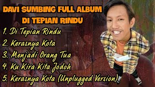 Kumpulan Lagu Terbaru Davi Siumbing VIRAL  Di Tepian Rindu Kerasnya Kota [upl. by Mcgean]