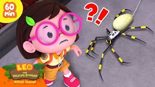 ITSY BITSY SPIDER ON THE WALL 🕷️🕸️  60 MIN  Leo the Wildlife Ranger  Kids Cartoons [upl. by Llenram647]