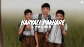 Ka kalena Ashi harawali pakahre  Song status video [upl. by Previdi27]