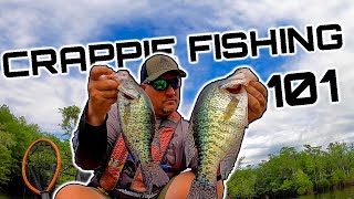 Crappie Fishing 101 EVERYTHING YOU NEED TO KNOW TO CATCH CRAPPIE [upl. by Gib]