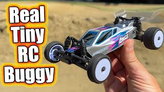 Cheap Micro RC Race Car Everyone Needs Losi MicroB [upl. by Vevine510]