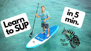 Learn to SUP in 5 minutes How to Stand Up Paddleboard for beginners [upl. by Nadabas]