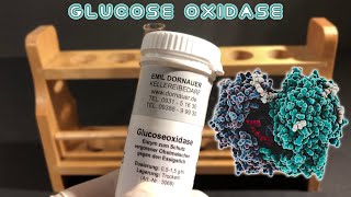 Two experiments with glucose oxidase glucoseoxidase [upl. by Ced103]