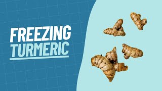 How to Freeze Turmeric  Our Guide to Freezing Turmeric [upl. by Annamaria]