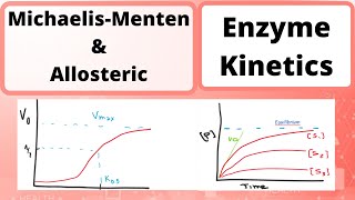 Enzyme Kinetics  Biochemistry Michealis Menten amp Allosteric [upl. by Arezzini601]