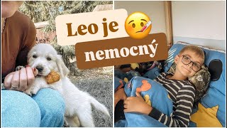 🍁LEO JE NEMOCNÝ 🤒 upršený den🌧️ 🐶odchod štěňátek pokračuje🐾🧡 [upl. by Reiners]