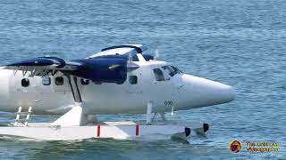 Harbour Air DHC 6Twin Otter Takeoff  4K [upl. by Issej941]