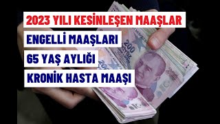 İŞTE KESİNLEŞEN 2023 ENGELLİ MAAŞLARI [upl. by Olivie]