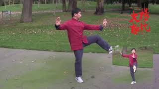 Yang Family Tai Chi Essential Form Performed by Master Yang Jun [upl. by Stanfield430]