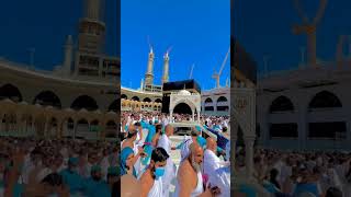 madine Kai Safar tanha  tarendingvideo islamicquotes islamicquotes shortsfeed veralshort 🥰😍 [upl. by Mollee]