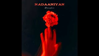 BAAGHII  Nadaaniyan  Official Audio [upl. by Lurleen]