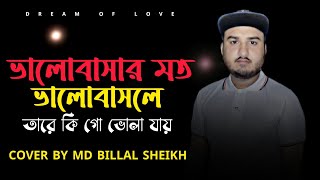 Valobasar Moto Valobasle Tare Ki Go Vula Jay  Md Billal Sheikh  Dream Of Love  Sad Song [upl. by Ilojna580]