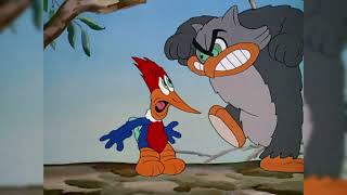 Woody Woodpecker  the crazy woody part1 oldisgold oldcartoons [upl. by Ralip]