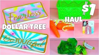 DOLLAR TREE HAUL 2017 [upl. by Raynor775]