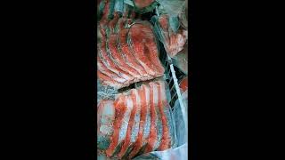 SALMON FISH [upl. by Ayat]