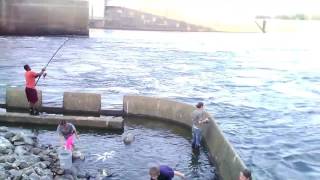 How we roll at Walter F George Dam Eufaula Al watch till end [upl. by Aicinet]