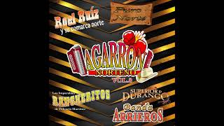 Agarron Norteño  Vol8 Disco Completo [upl. by Ingelbert]