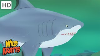 Wild Kratts  Sharks  Apex Predators of the Oceans [upl. by Bohrer]