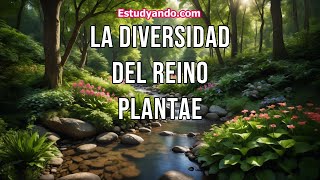 La diversidad del Reino Plantae [upl. by Hajed]