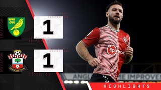 HIGHLIGHTS Norwich City 11 Southampton  Championship [upl. by Nylekcaj193]