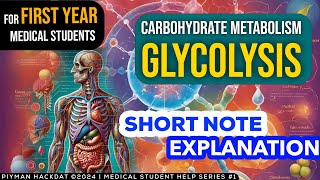 Carbohydrate Metabolism  Glycolysis  𝑺𝒉𝒐𝒓𝒕 𝑵𝒐𝒕𝒆 𝒇𝒐𝒓 𝗙𝗜𝗥𝗦𝗧 𝗬𝗘𝗔𝗥 𝗠𝗕𝗕𝗦 𝗦𝗧𝗨𝗗𝗘𝗡𝗧𝗦  𝗙𝗿𝗲𝗲 𝗣𝗗𝗙 [upl. by Aivartal303]