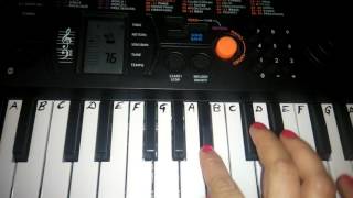 Damadum Mast Kalandar on pianoTutorialKeyboardHarmonium [upl. by Eenhpad]