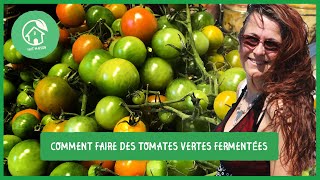 Comment faire des tomates vertes fermentées Atelier [upl. by Sisely937]